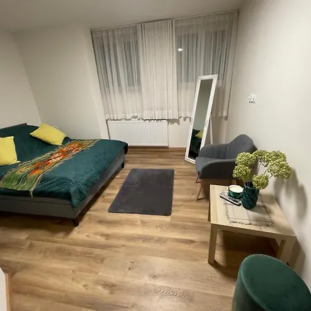 Palac Zbylitowskich Homestay Zbylitowska Gora